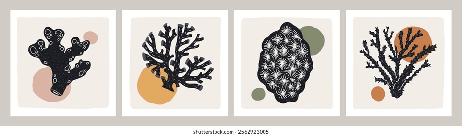 Corals and underwater sea plants, post cards set. Abstract modern tropical marine posters with seaweed patterns for interior design, square shaped frames. Natural botanical flat vector illustration