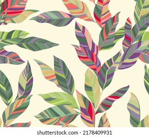 Cordelia leaves floral vector seamless pattern. Houseplant striped colorful foliage. Textile print with banana tree branches. Summer endless pattern with tropical leaves. Wallpaper cute design