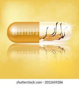 Cordyceps in capsules. Traditional chinese herbs, Is a mushroom that using for medicine and food famous in Asian. Medical concepts and health supplements. Realistic 3D Vector.