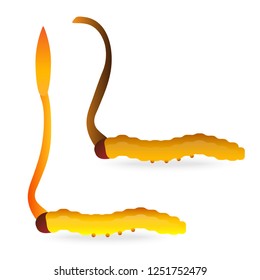 "Cordyceps" or "Chong Cao" cartoon vector illustration design."Ophiocordyceps sinensis" is a mushroom that using for medicine and food famous in Asian.Yellow orange color healthy worm mushroom.