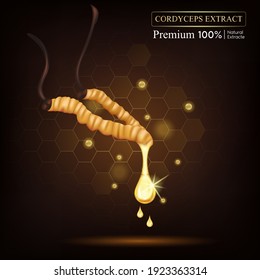 Cordyceps Extract for folk medicine, Traditional chinese herbs and Health supplement. Vector EPS10