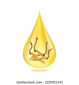 Cordyceps in golden water drop. Isolated on white background. Premium grade health food supplement. 3D Realistic vector Eps10.