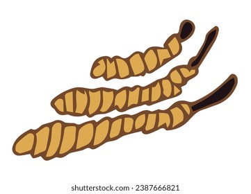 Cordyceps logo. Medical mushroom cordyceps military for medical nutrition