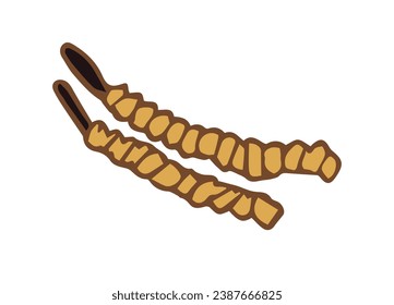 Cordyceps logo. Medical mushroom cordyceps military for medical nutrition