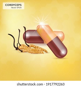 Cordyceps Sinensis. Traditional chinese herbs, Is a mushroom that using for medicine and food famous in Asian. Yellow orange color healthy mushroom. Vector EPS10 illustration