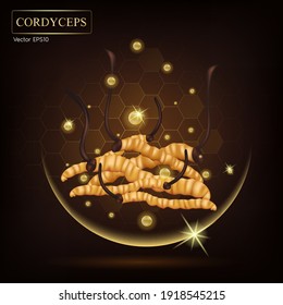 Cordyceps Sinensis. Traditional chinese herbs, Is a mushroom that using for medicine and food famous in Asian. Yellow orange color healthy mushroom. Vector EPS10 illustration