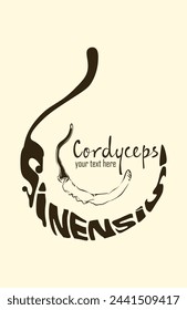 Cordyceps sinensis vector icon calligraphy style. CHONG CAO, DONG CHONG XIA CAO or cordyceps mushrooms.