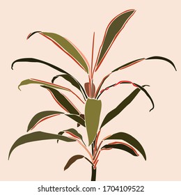 Cordyline plant in a minimalist trendy style. Silhouette of a tropical plant in a contemporary simple abstract style. Vector illustration collage. For t-Shirt Print, card, poster, social media post