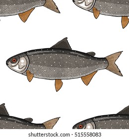 coregonus pattern