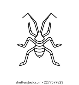 Coreidae insect icon. High quality black vector illustration.