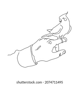 Corella bird, parrot on the finger, line art style. Black linear sketch isolated on white background. Vector illustration.