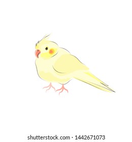 Corella. Yellow parrot isolated on white. Vector illustration.