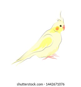 Corella. Yellow parrot isolated on white. Vector illustration.