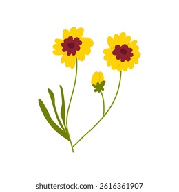Coreopsis flower branch with leaves. Vector flat botanical illustration. Spring blooming stem of coreopsis tinctoria plant