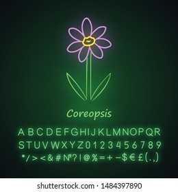 Coreopsis neon light icon. Rudbeckia garden flower with name inscription. Calliopsis plant. Blooming daisy, camomile wildflower. Glowing sign with alphabet, numbers. Vector isolated illustration