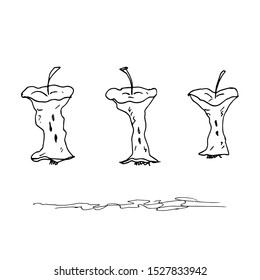 The cores from apples. Line drawing. Vector illustration.
