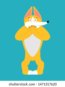 Corg scared OMG emotion. Dog Oh my God emoji. Pet Frightened. Vector illustration