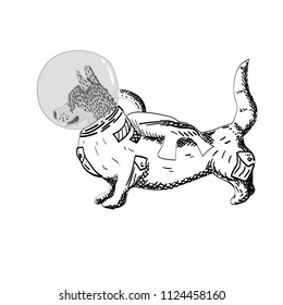Corgi. Astronaut. Without background