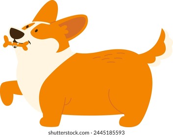 Corgi With Bone In Mouth Vector Illustration