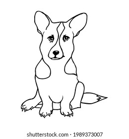 A corgi breed dog puppy on a white background.Vector puppy in the doodle style.