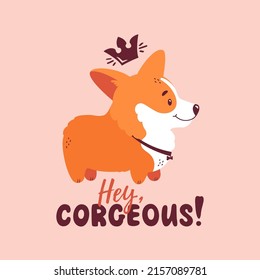 Corgi con corona y cita - Oye, cordial. Impresión galesa de corgi para diseño de tarjetas, afiches o camisetas. Ilustración vectorial aislada en el fondo rosado. Perro lindo y letras divertidas.