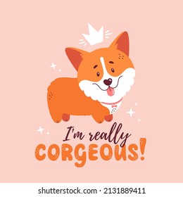 Corgi with crown and quote - I am really corgeous. Welsh corgi print for card, poster or t-shirt design. Vector illustration isolated on pink background. Cute dog and funny hand drawn lettering.