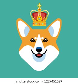 Corgi with crown. Stylish vector image of the animal.