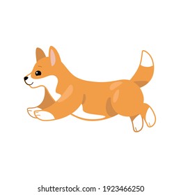 Corgi. Cute dog character. Vector illustration in cartoon style for poster, postcard.