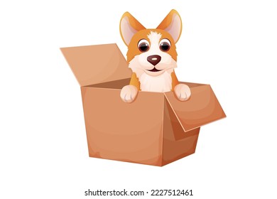 Corgi cute pet, puppy in the box, adopt animal concept, homeless character in cartoon style isolated on white background.
