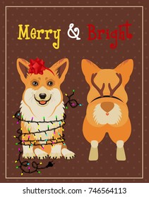 Corgi  in Deer Antler Christmas decor. Vector Illustration.