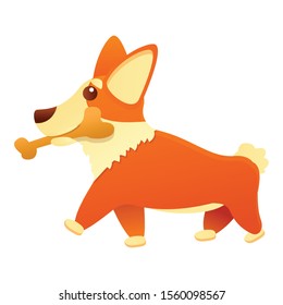 Corgi dog with bone icon. Cartoon of corgi dog with bone vector icon for web design isolated on white background