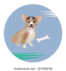 Corgi dog and bone - round icon - isolated on white background - vector. Environmental Protection. Animal world.