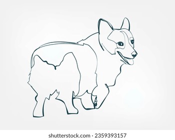 Corgi dog breed animal vector line art one line sketch outline