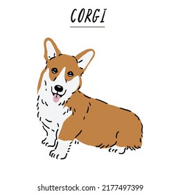 Ilustración de color dibujada a mano por Perro Corgi
