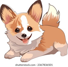 corgi dog breed vectorial illustration