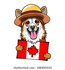 Corgi dog. Canadian flag. Happy Canada day greeting card. Dachshund wearing in form of the Royal Canadian Mounted Police. Vector illustration.