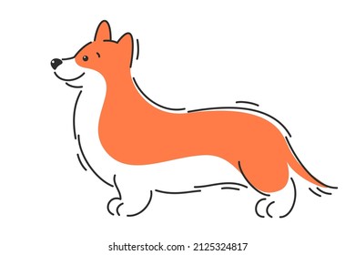 Corgi dog. Cartoon vector illustration