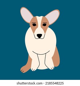 corgi dog. Colorful flat  vector illustration.