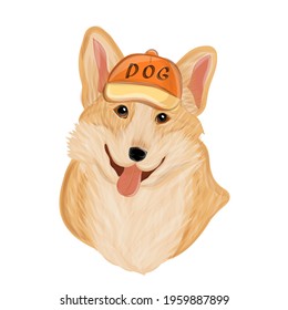 Corgi dog cute cartoon vector portrait. Hand drawn colored vector. Design t-shirt print
