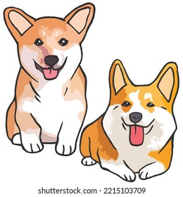 Corgi Dog Cute Pets Duo Drawing