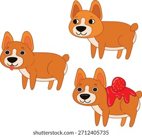 Corgi Hund in verschiedenen Posen.