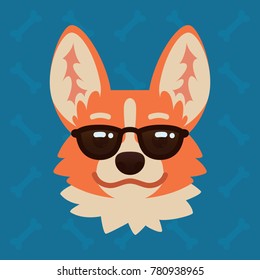 Corgi dog emotional head in sunglasses. Vector illustration of cute dog in flat style shows emotion. Cool emoji. Smiley icon. Chat, communication, print, sticker. Isolated object on blue background.