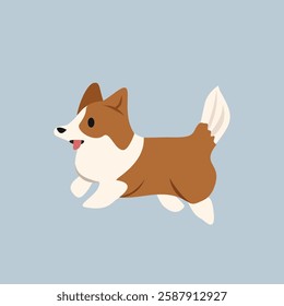 Corgi dog. Fluffy. Breed. Cute animal. Cute dog. Little dog. Welsh corgi dog. Canine. 