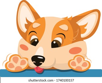 Corgi dog with a funny face. Surprised Corgi peeps from behind a fence. Funny Corgi in cartoon style