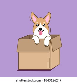 Corgi dog happily looking out of a cardboard box. Vector image in eps format.