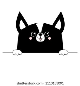 Corgi dog happy face head icon. Hands paw holding table line. Cute cartoon pooch character. Contour black silhouette. Kawaii animal. Funny baby puppy. Love card. Flat design. White background Vector