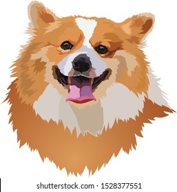 Corgi dog head, face vector