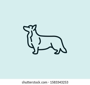 Corgi dog icon line isolated on clean background. Corgi dog icon concept drawing icon line in modern style. Vector illustration for your web mobile logo app UI design.