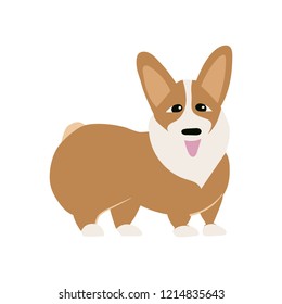 Corgi dog isolated om white background,happy  colorful pet icon,vector with Welsh Corgi Cardigan