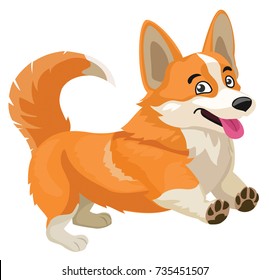 Corgi dog isolated on white background. Vector illustration.